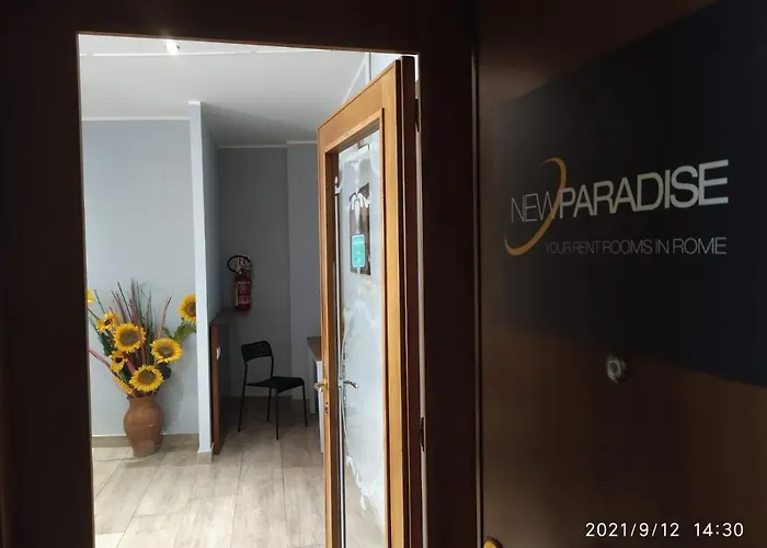 New Paradise